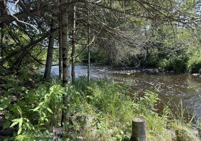 Photo 3 of Land for sale at 37 Acres W Townline Rd, Crystal Falls, MI 49920 | MLS# 50217031 | Listing updated on 2026-08-03