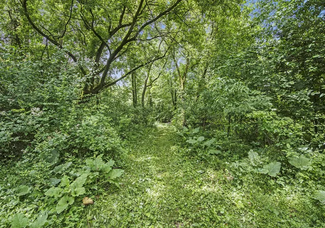 Photo 4 of Land for sale at 7079 Hanna Lake Ave, Caledonia, MI 49316 | MLS# 70481777 | Listing updated on 2026-08-14
