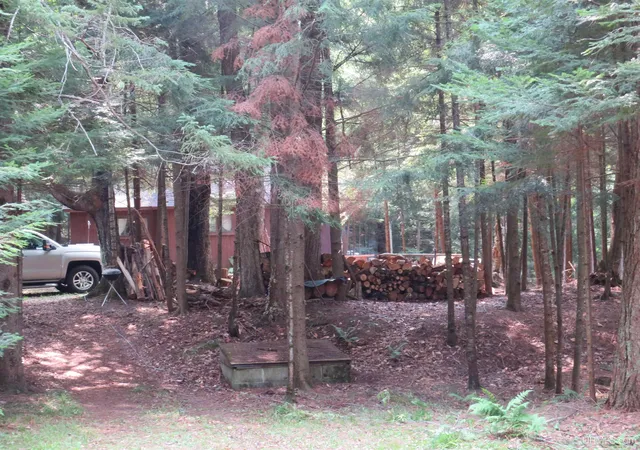 Photo 3 of Single family home for sale at 13999 County Road 440 Road, Wetmore, MI 49895 | MLS# 50219642 | Listing updated on 2026-09-09