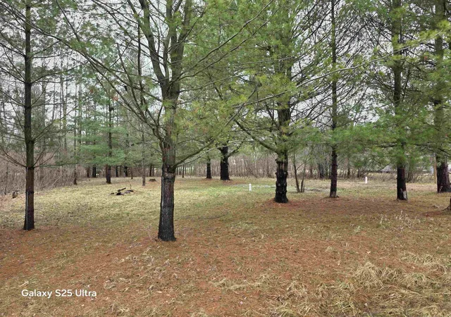 Photo 3 of Land for sale at 5363 Knightsway Way, Gladwin, MI 48624 | MLS# 50201862 | Listing updated on 2026-07-01