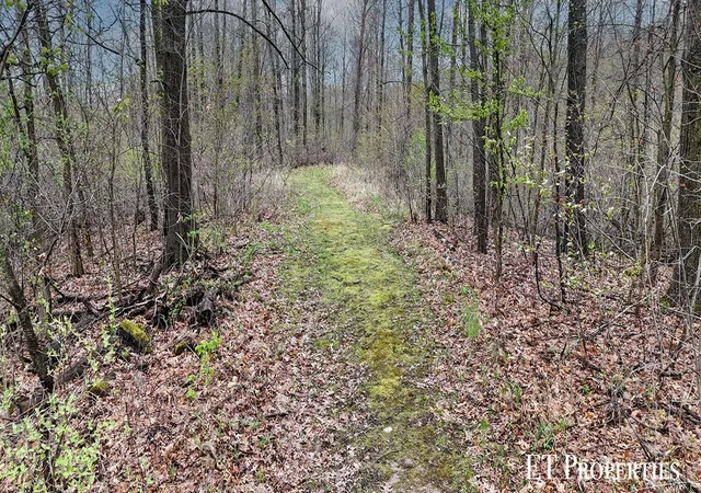 5th image of 14255 Myers Lake Ave, Cedar Springs, MI 49319 | MLS# 70519980