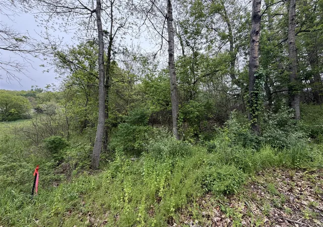 15th image of 11090 Morgan Mills Ave, Greenville, MI 48838 | MLS# 70516104