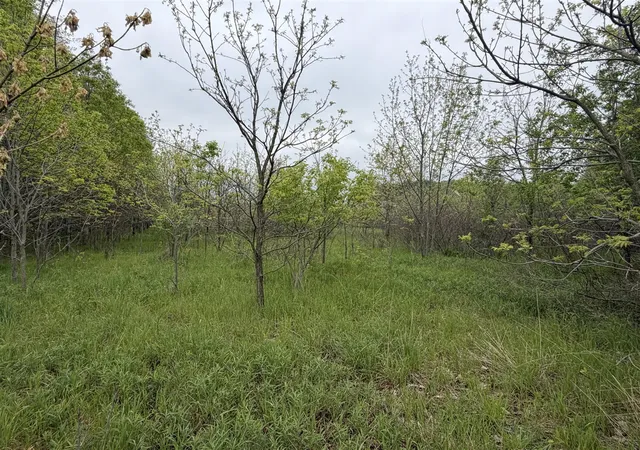 4th image of 11090 Morgan Mills Ave, Greenville, MI 48838 | MLS# 70516104