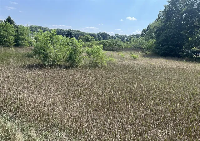 Photo 1 of Land for sale at 3380 Babylon Rd, Allegan, MI 49010 | MLS# 70547071 | Listing updated on 2026-07-23