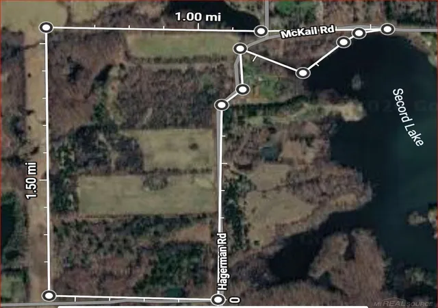 Homes for sale in Addison Twp, MI | 0000000 Hagerman Rd, Addison Twp, MI 48367 | MLS# 50207852