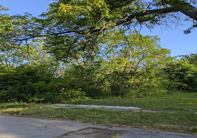 Photo 1 of Land for sale at 2660 W Forest Ave, Detroit, MI 48208 | MLS# 70547730 | Listing updated on 2026-08-27