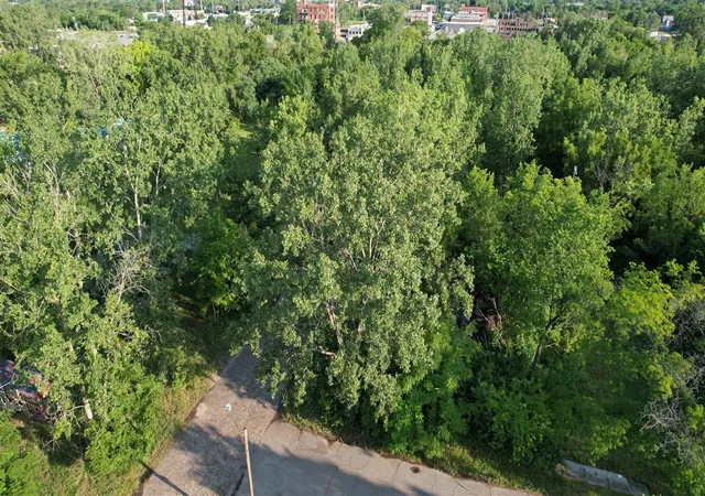Photo 2 of Land for sale at 2660 W Forest Ave, Detroit, MI 48208 | MLS# 70547730 | Listing updated on 2026-08-27