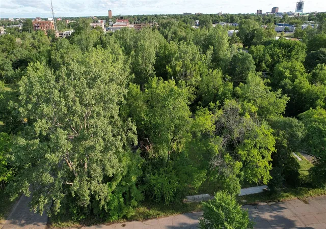 Photo 4 of Land for sale at 2660 W Forest Ave, Detroit, MI 48208 | MLS# 70547730 | Listing updated on 2026-08-27