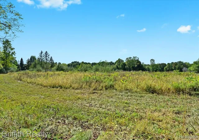 3rd image of 9800 Beeman Rd, Chelsea, MI 48118 | MLS# 60940592