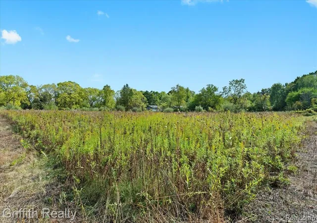 4th image of 9800 Beeman Rd, Chelsea, MI 48118 | MLS# 60940592