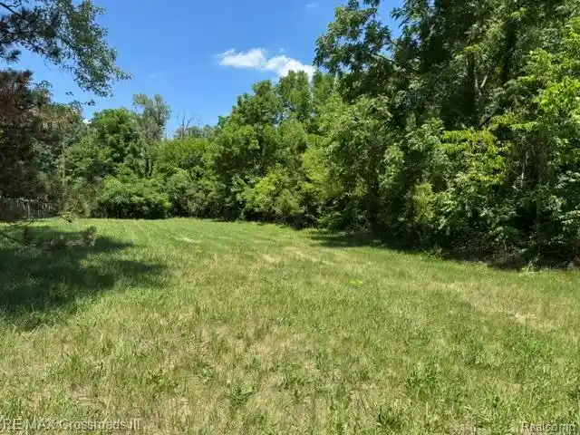 Land for sale at 000 Ecorse Rd, Romulus, MI 48174 | MLS# 61041177