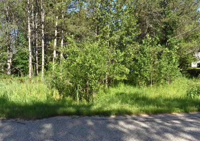 Photo 3 of Land for sale at 5486 Knights Way, Gladwin, MI 48624 | MLS# 50202484 | Listing updated on 2026-07-21