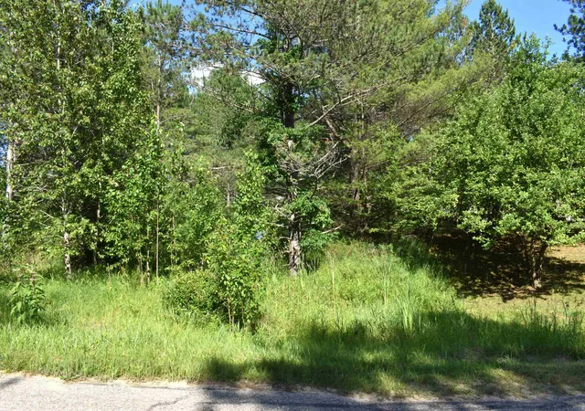 Photo 4 of Land for sale at 5486 Knights Way, Gladwin, MI 48624 | MLS# 50202484 | Listing updated on 2026-07-21