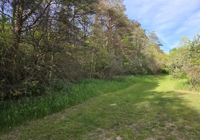 5th image of 1138 N Thornapple Ave, White Cloud, MI 49349 | MLS# 70519760