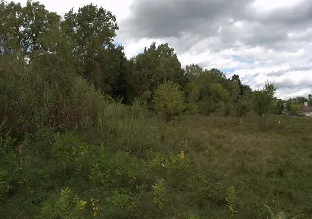 Photo 1 of Land for sale at 3847 Lake Vista Dr, Dexter, MI 48130 | MLS# 70454490 | Listing updated on 2026-04-01