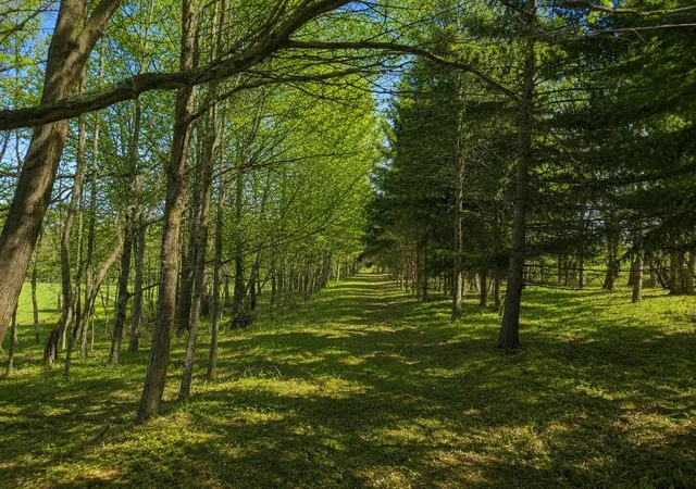 Photo 3 of Land for sale at 33 S Acres Peoples Rd, Fenwick, MI 48834 | MLS# 50199484 | Listing updated on 2026-08-20