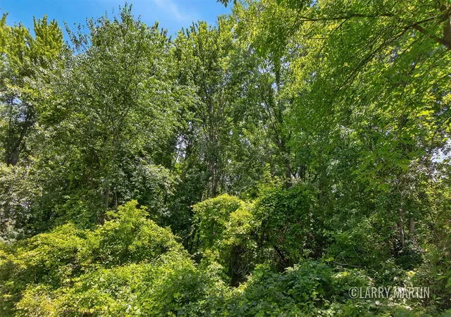 Photo 3 of Land for sale at 8840 Burlingame Ave, Byron Center, MI 49315 | MLS# 70542018 | Listing updated on 2026-09-10