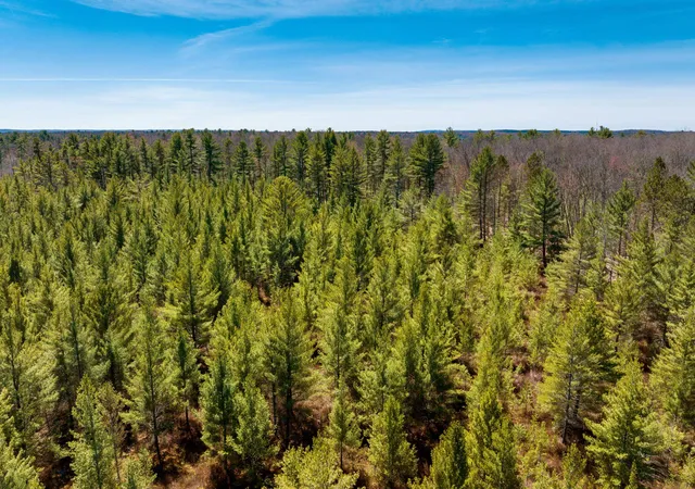 5th image of 00 Mud Lake Rd, Interlochen, MI 49643 | MLS# 80068339