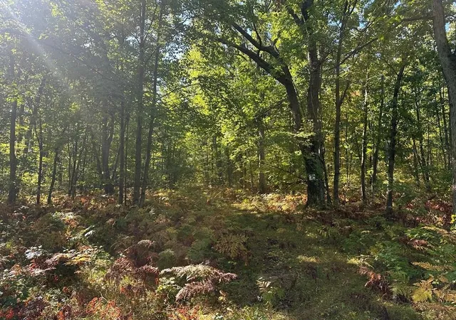Photo 1 of Land for sale at 300 31 Easement Rd, Harrison, MI 48625 | MLS# 50155687 | Listing updated on 2026-09-29