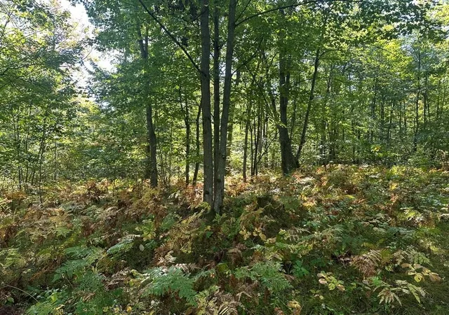 Photo 2 of Land for sale at 300 31 Easement Rd, Harrison, MI 48625 | MLS# 50155687 | Listing updated on 2026-09-29