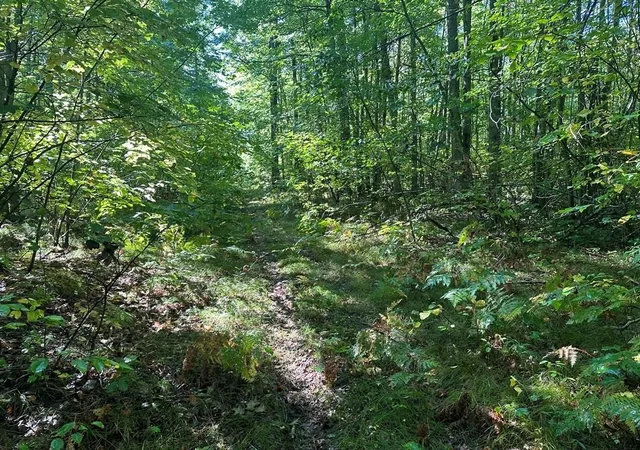 Photo 3 of Land for sale at 300 31 Easement Rd, Harrison, MI 48625 | MLS# 50155687 | Listing updated on 2026-09-29