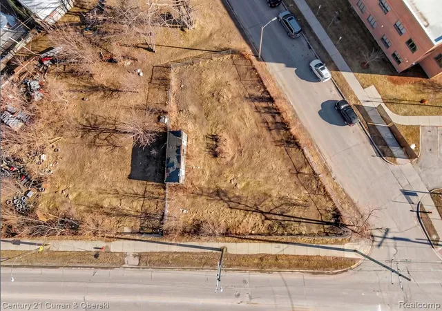 image of 8306 Conant St, Hamtramck, MI 48211 | MLS# 60969469