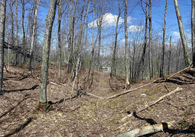 Homes for sale in South Range, MI | Tbd Lot 29 S Whealkate Dr, South Range, MI 49963 | MLS# 50202945