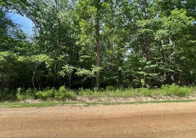 Homes for sale in Union Pier, MI | V/l National Parkway, Union Pier, MI 49129 | MLS# 70481202