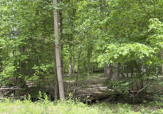 Land for sale at V/L National Parkway, Union Pier, MI 49129 | MLS# 70481202
