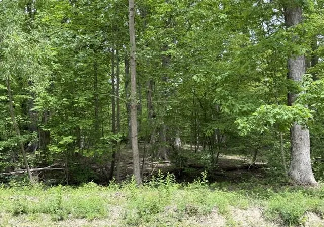 Photo 2 of Land for sale at V/l National Parkway, Union Pier, MI 49129 | MLS# 70481202 | Listing updated on 2026-08-07