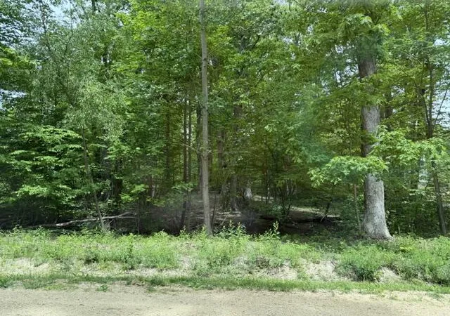 Photo 3 of Land for sale at V/l National Parkway, Union Pier, MI 49129 | MLS# 70481202 | Listing updated on 2026-08-07