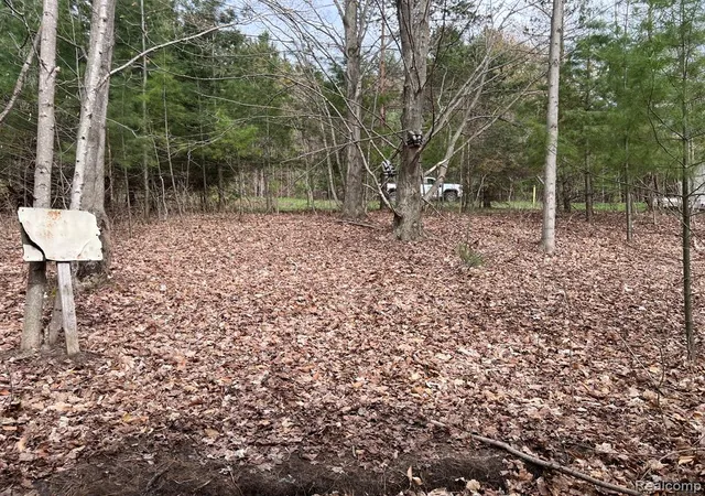 Homes for sale in Central Lake, MI | 2903 Rushton Rd, Central Lake, MI 49622 | MLS# 60994069