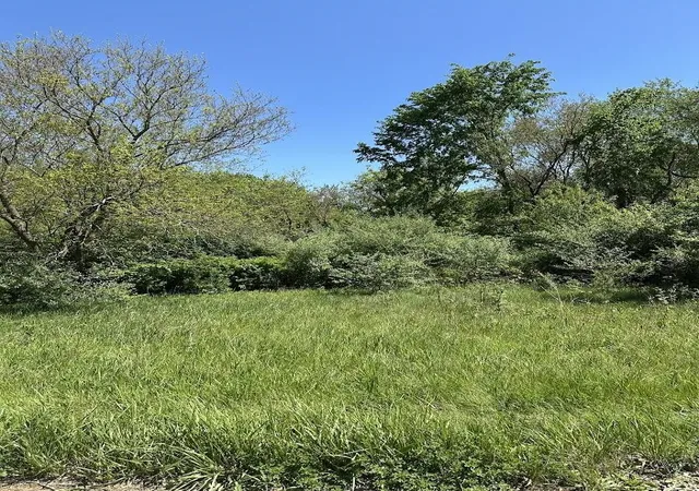 Land for sale at 11630 Greenlawn Dr, Jerome, MI 49249 | MLS# 70533546