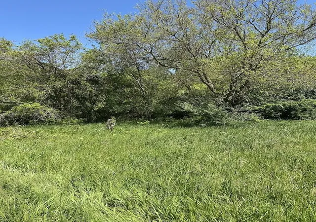 Photo 2 of Land for sale at 11630 Greenlawn Dr, Jerome, MI 49249 | MLS# 70533546 | Listing updated on 2026-09-17