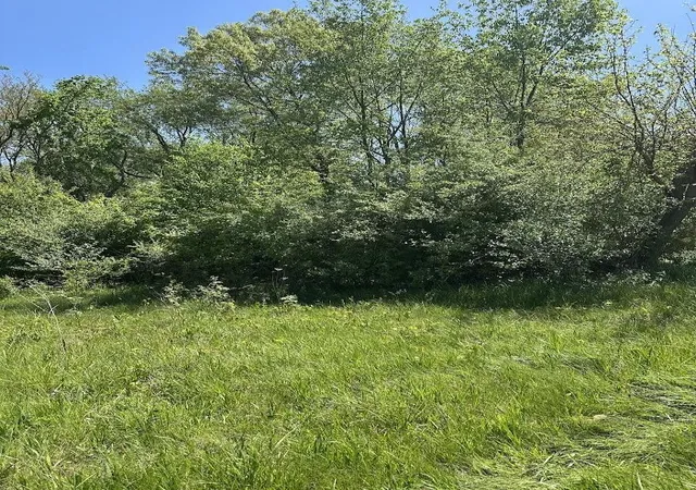 Photo 3 of Land for sale at 11630 Greenlawn Dr, Jerome, MI 49249 | MLS# 70533546 | Listing updated on 2026-09-17