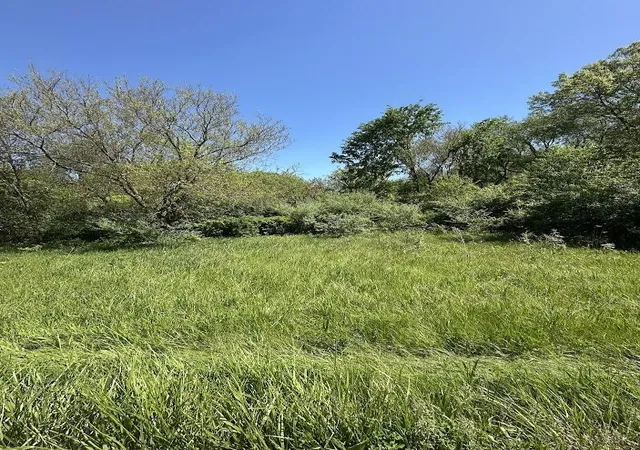Photo 3 of Land for sale at 11630 Greenlawn Dr, Jerome, MI 49249 | MLS# 70533546 | Listing updated on 2026-09-17
