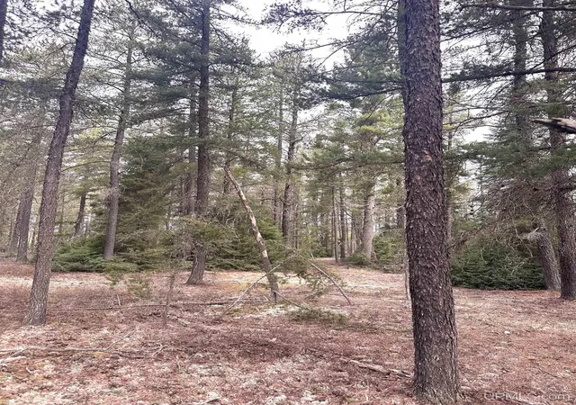 Photo 5 of Land for sale at Tbd Rd One, Ishpeming, MI 49849 | MLS# 50206122 | Listing updated on 2026-07-29
