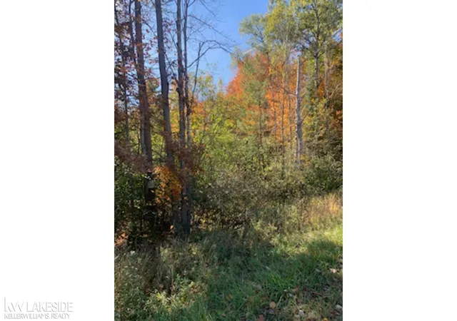 Photo 3 of Sale Pending at 00 Lake James, Prudenville, MI 48651 | MLS# 50094113 | Listing updated on 2024-02-16