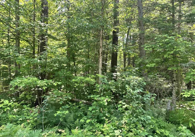 Homes for sale in Ishpeming, MI | Tbd Co Rd 482 Rd, Ishpeming, MI 49849 | MLS# 50214449