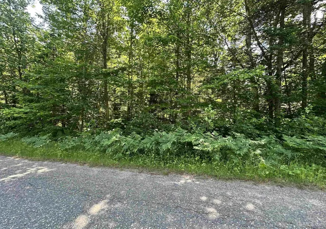 Homes for sale in Ishpeming, MI | Tbd Co Rd 482 Rd, Ishpeming, MI 49849 | MLS# 50214449