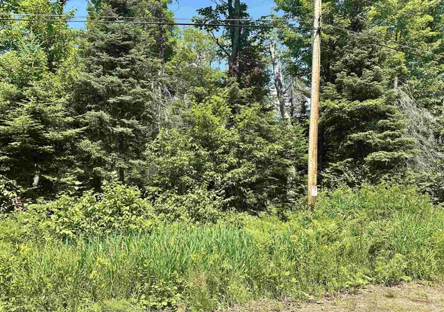 Homes for sale in Ishpeming, MI | Tbd Co Rd 482 Rd, Ishpeming, MI 49849 | MLS# 50214449