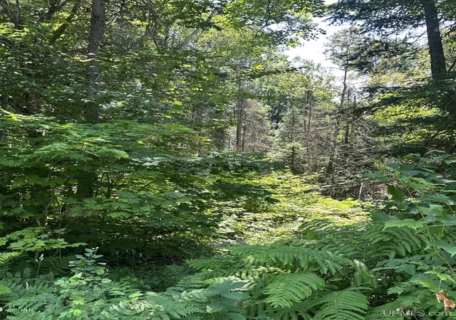 Homes for sale in Ishpeming, MI | Tbd Co Rd 482 Rd, Ishpeming, MI 49849 | MLS# 50214449