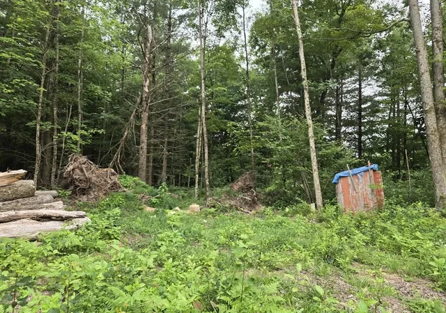 2nd image of 5369 E 68th St, Chase, MI 49623 | MLS# 70544919