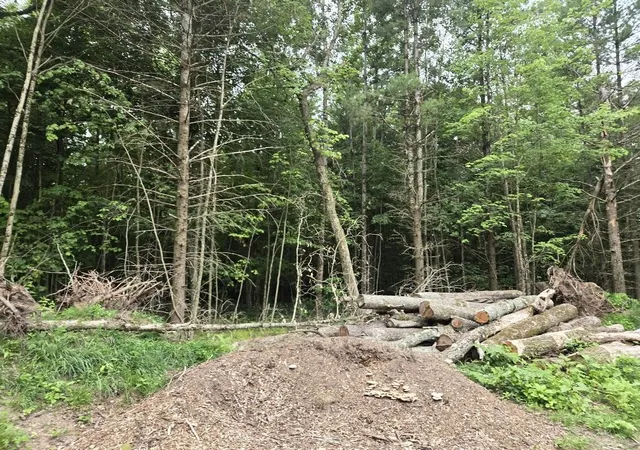 Photo 3 of Land for sale at 5369 E 68th Street, Chase, MI 49623 | MLS# 70544919 | Listing updated on 2026-07-14