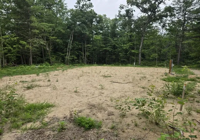 Photo 3 of Land for sale at 5369 E 68th Street, Chase, MI 49623 | MLS# 70544919 | Listing updated on 2026-07-14