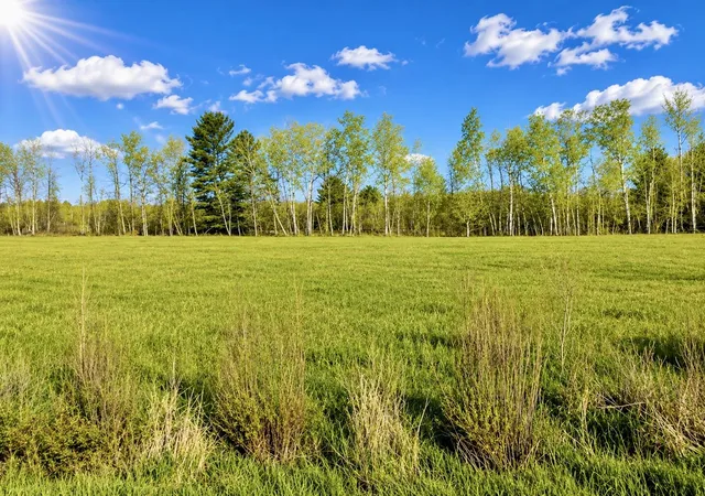Photo 3 of Sale Pending at 1742 National City Rd, National City, MI 48748 | MLS# 80071054 | Listing updated on 2026-09-18
