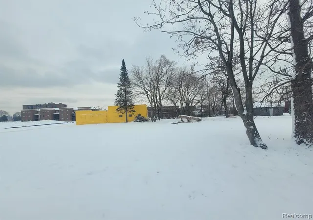 Photo 3 of Land for sale at 2005 Poplar St, Detroit, MI 48208 | MLS# 60283859 | Listing updated on 2026-06-16
