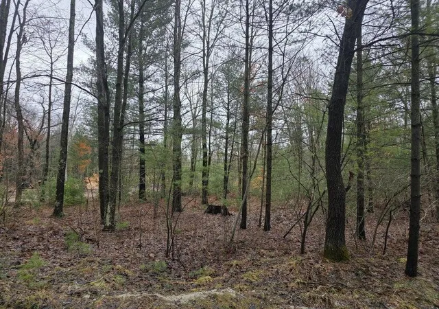 2nd image of 4802 E 96th St, Newaygo, MI 49337 | MLS# 70519262