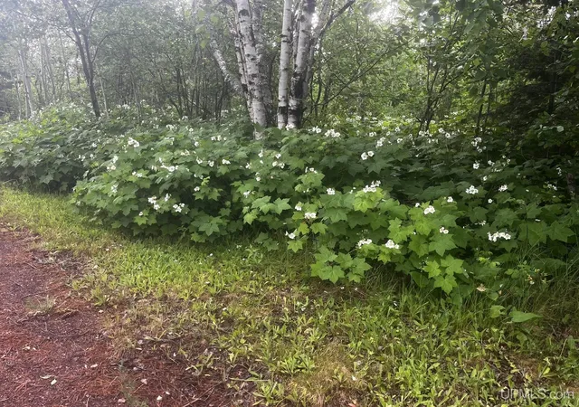 59th image of 9237 Silver River Loop, Mohawk, MI 49950 | MLS# 50214694