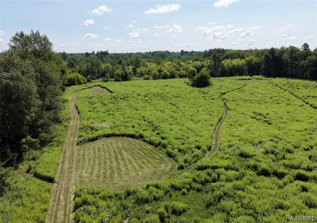 Photo 3 of Sale Pending at 000 Michigan Ave, Parma, MI 49269 | MLS# 61019016 | Listing updated on 2026-09-08